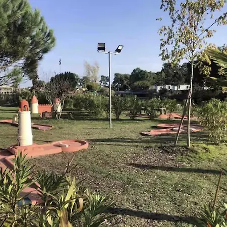 Les Pieds Dans L'eau, Le Coeur En *