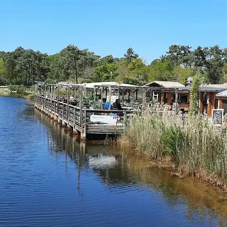Les Pieds Dans L'eau, Le Coeur En Lège-Cap-Ferret
